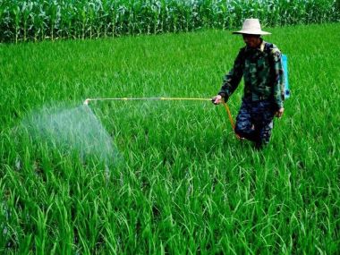 农业农村部种植业管理司关于《农作物病虫害专业化防治服务管理办法》公开征求意见的通知
